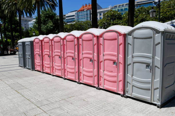 Best Portable Toilets with Baby Changing Stations  in Midlothian, TX